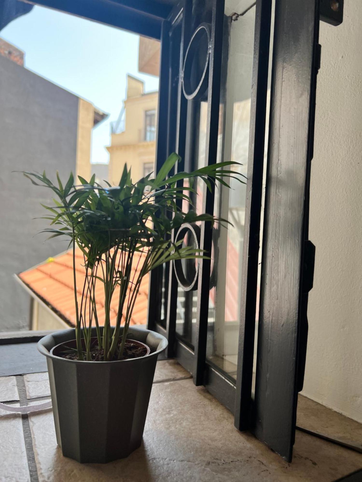 Barcaioli'S Home Catania Bagian luar foto